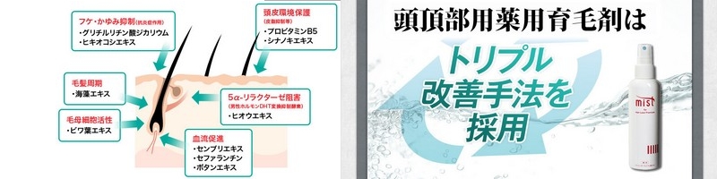 �j�̓�������p��э܁y�l�r�s�s1�z���T�C�g